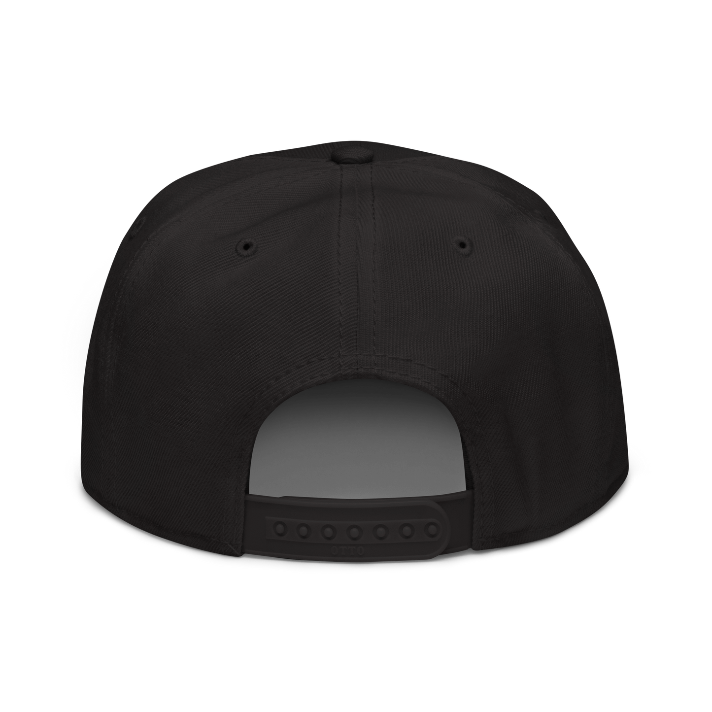 DMG TEAM SNAPBACK