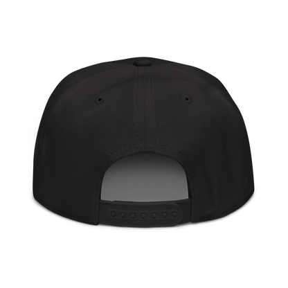 DMG TEAM SNAPBACK